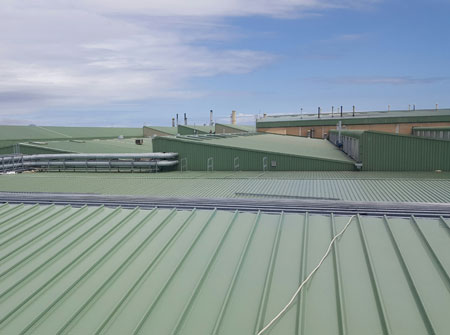 Cape Roof - Paarl Media 5500m2