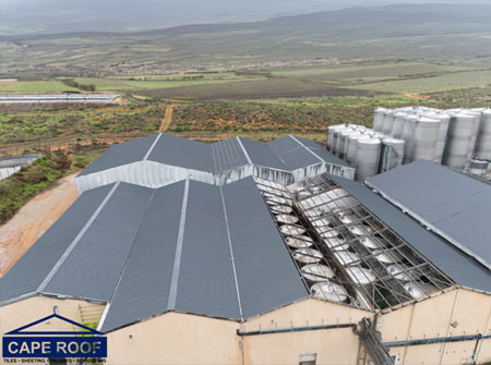Cape Roof - Lutzville Wine Cellar