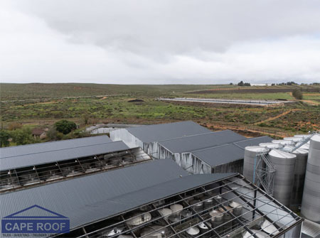 Cape Roof - Lutzville Wine Cellar