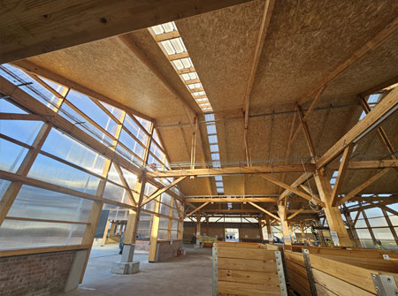 Cape Roof - Ceiling Boards and Translucent Cladding
